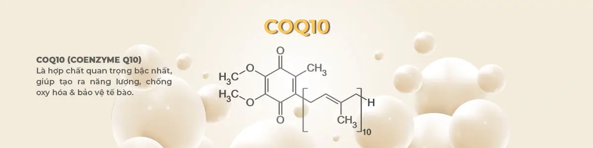 Coenzyme Q10