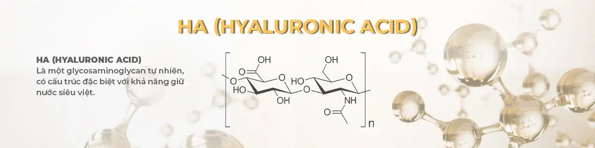 Hyaluronic acid