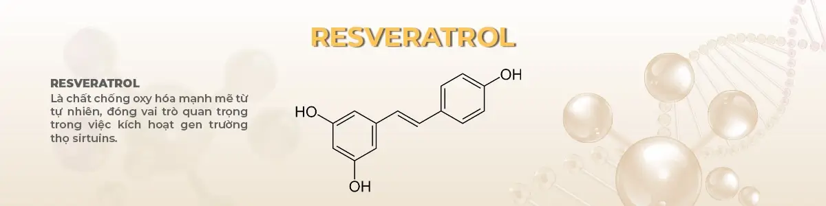 Resveratrol