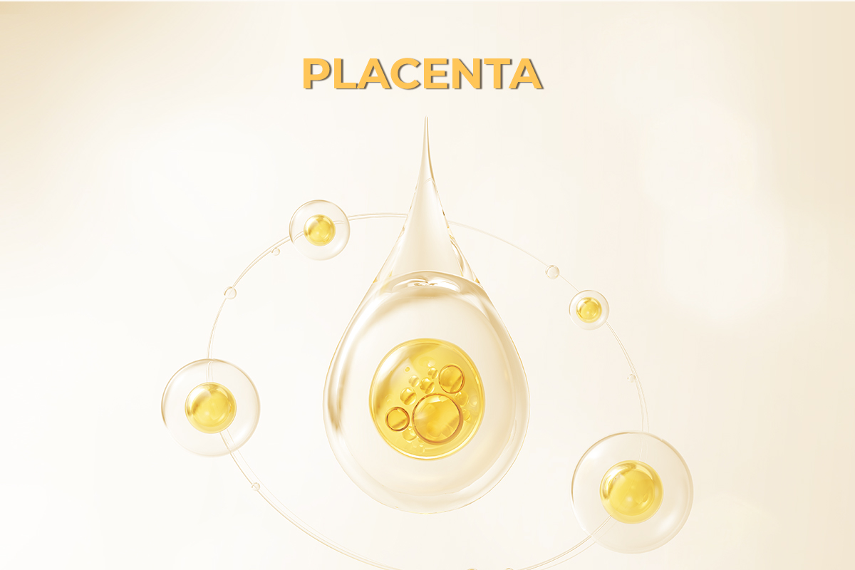 Placenta Protein