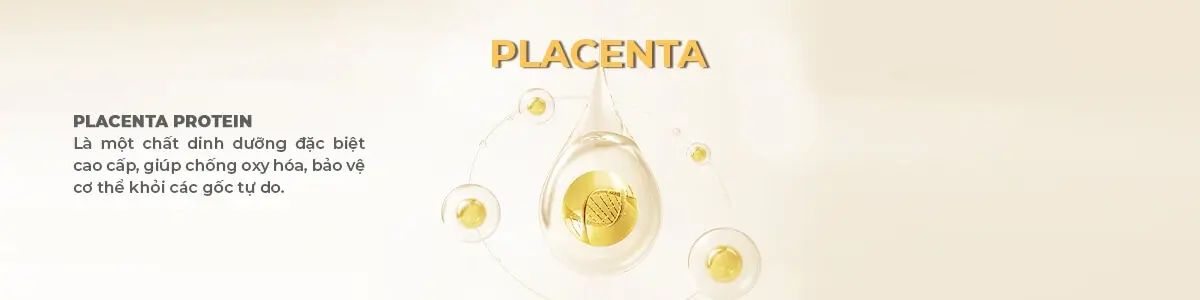 Placenta Protein