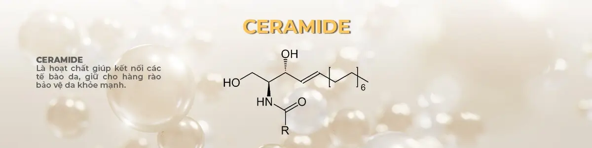 Ceramide