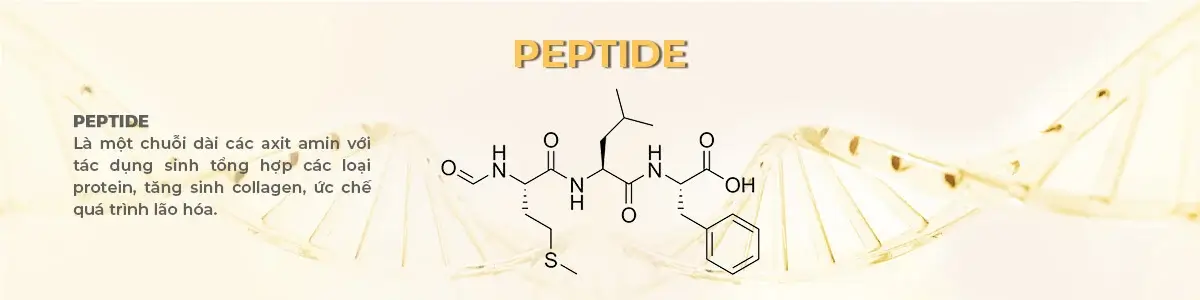 Peptide
