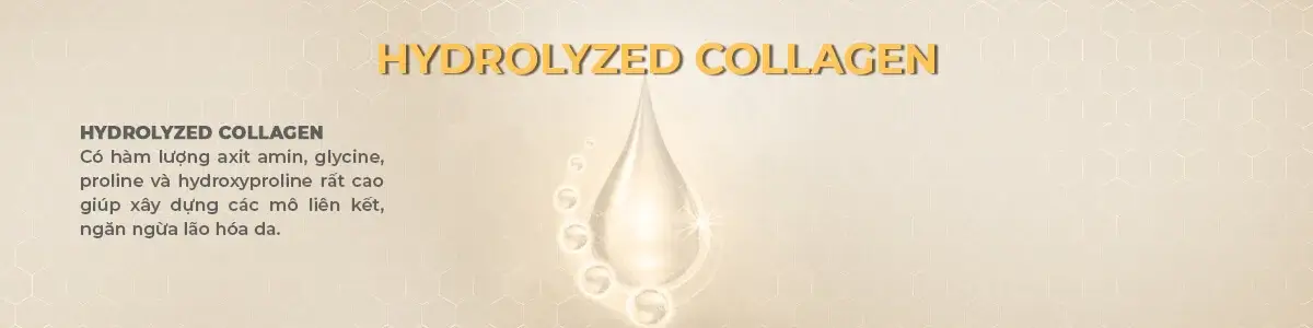 Hydrolyzed Collagen Extract