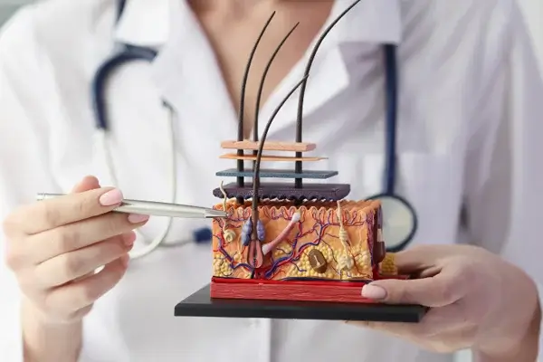đừng phí sức dưỡng da nếu chưa tìm hiểu cấu trúc da