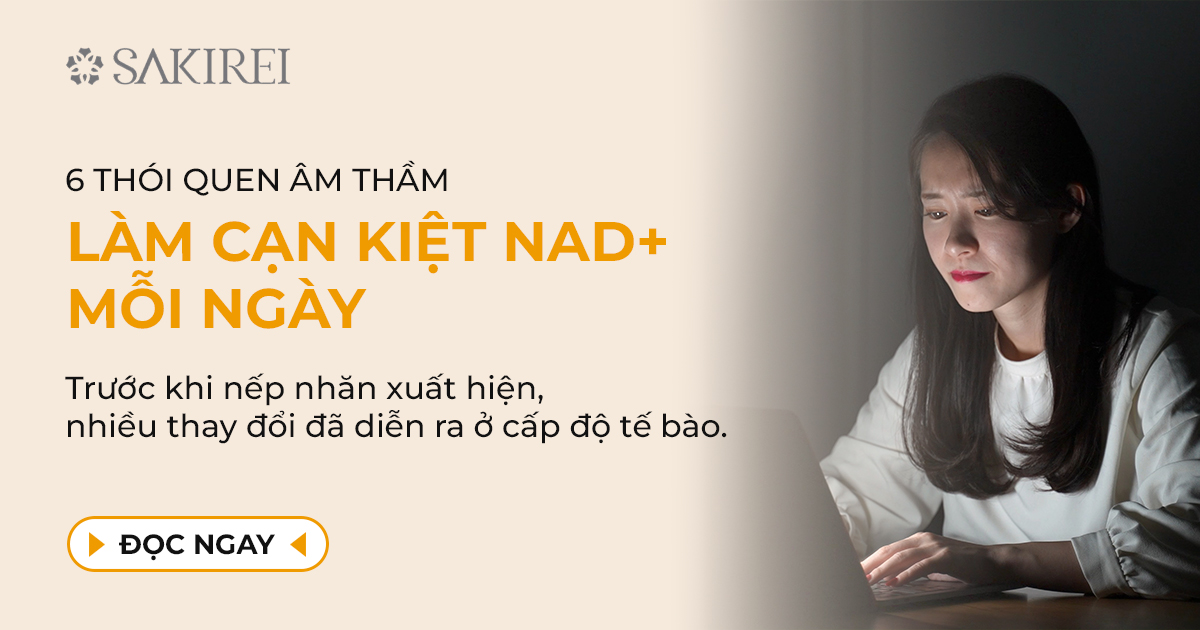 Những Thói Quen Làm Cạn Kiệt NAD+ Mỗi Ngày Mà Nhiều Người Không Nhận Ra
