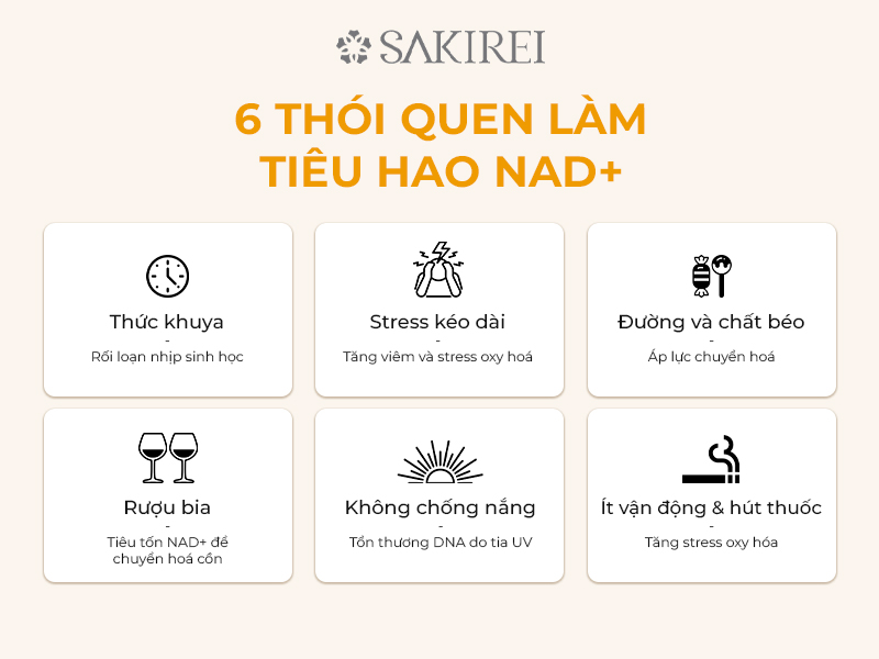 6 Thói Quen Âm Thầm Làm Cạn Kiệt NAD+