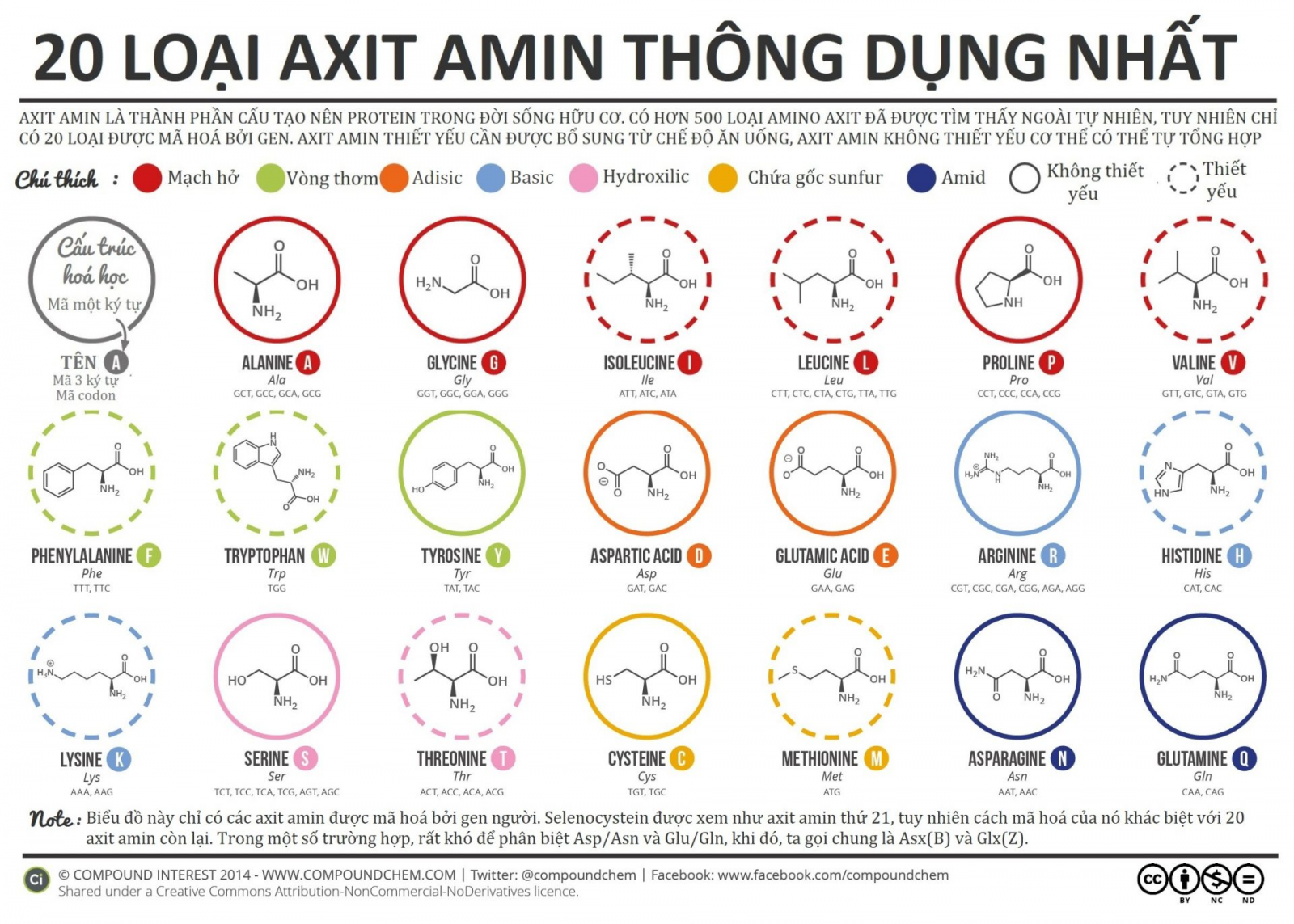 20 loại axit amin thông dụng bạn cần biết