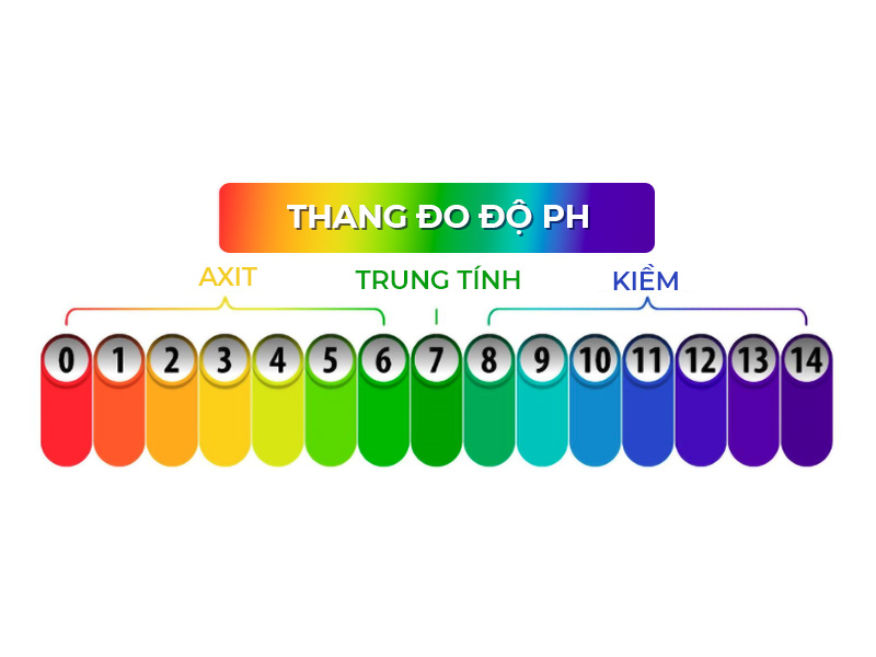 Thang đo độ pH sẽ giúp bạn xác định độ pH da cũng như độ pH của các sản phẩm chăm sóc da mà bạn đang dùng.