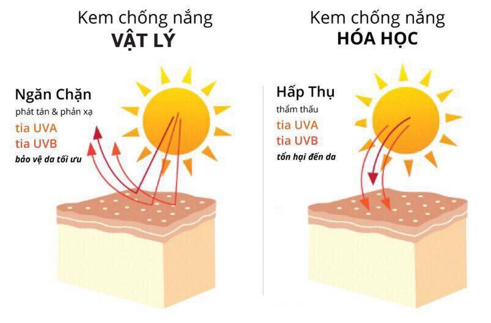 Cơ chế chống nắng của kem chống nắng vật lý và hóa học.