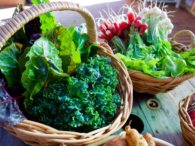 Rau xanh cũng là một trong những thực phẩm chứa vitamin B dồi dào thường xuyên có mặt trong các bữa ăn.