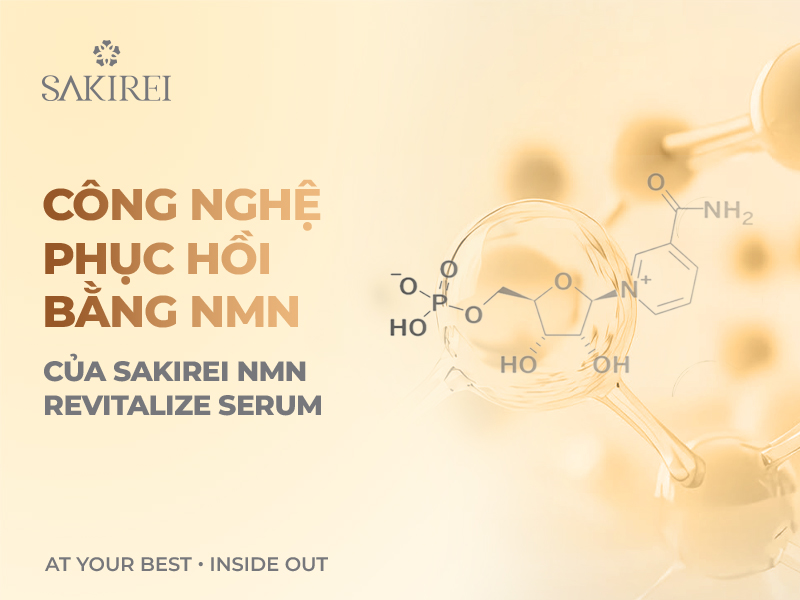 Cấu trúc phân tử NMN trong serum phục hồi da Sakirei, công nghệ hỗ trợ phục hồi da từ cấp tế bào