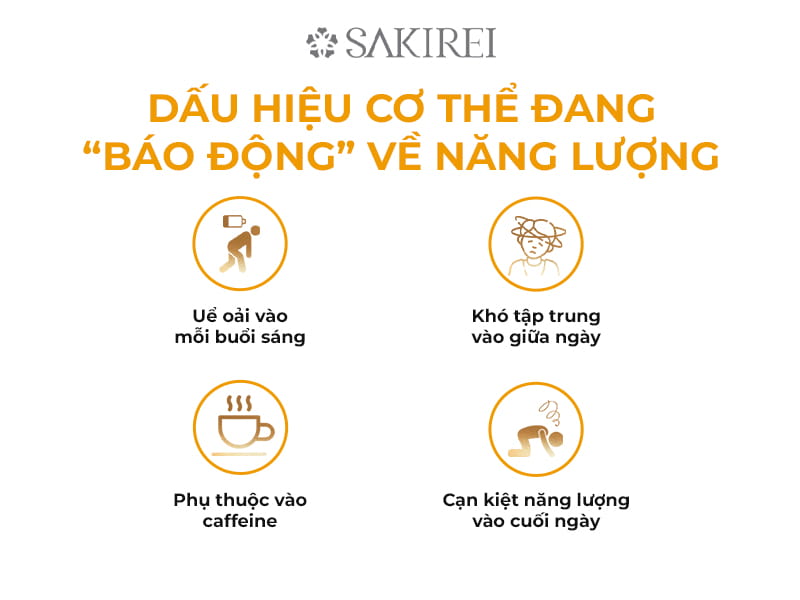 Dấu hiệu cơ thể đang báo động về năng lượng