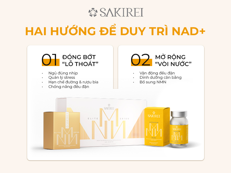Cách Bảo Vệ Và “Bù Đầy” NAD+ Cho Cơ Thể