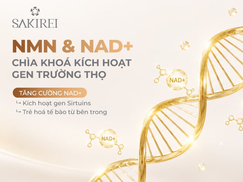 NMN và NAD+ trong Sakirei Premium NMN 9120 hỗ trợ tăng cường NAD+ và kích hoạt  gen trường thọ Sirtuins