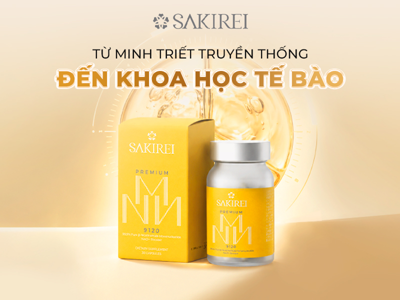 Từ Minh Triết Truyền Thống Đến Khoa Học Tế Bào Hiện Đại